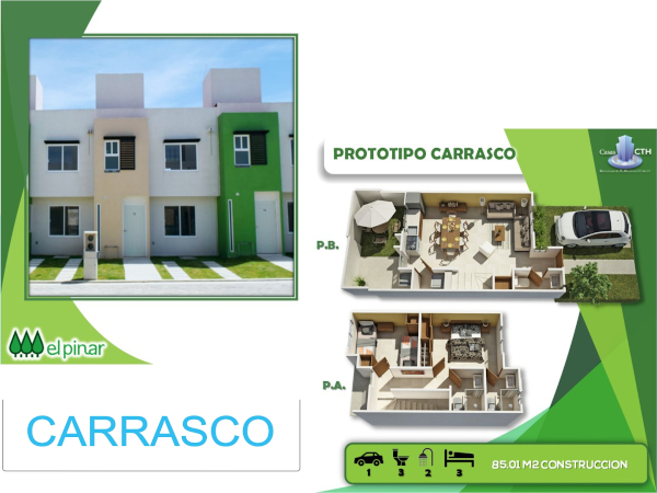 Desarrollo Carrasco